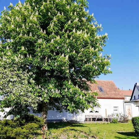 Ferienwohnung Lodig Gross Sarchen Kültér fotó