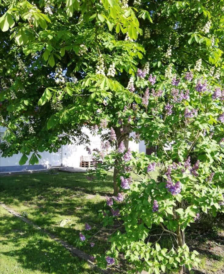 Ferienwohnung Lodig Gross Sarchen Kültér fotó